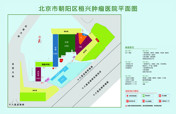 棒棒插入高潮黄文北京市朝阳区桓兴肿瘤医院平面图